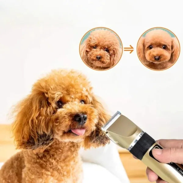 Tondeuse chien silencieuse et kit de toilettage avec peignes réglables. Idéale pour un soin canin sans stress.