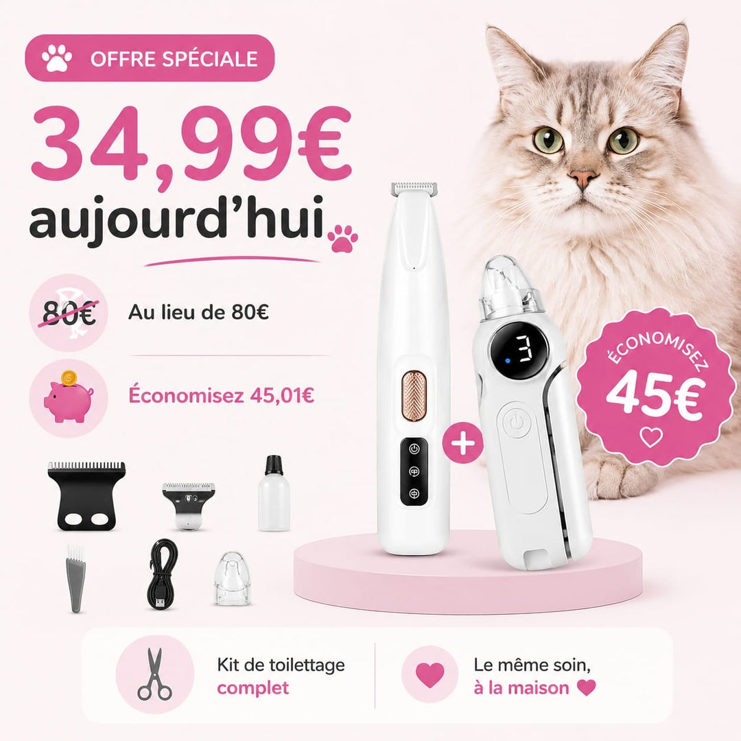 Accessoire indispensable : tondeuse chat coupe nœuds, spéciale poils longs, pour un pelage sain.