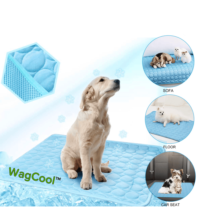 Tapis rafraîchissant bleu en gel pour chien, offre un confort apaisant et une fraîcheur durable en été.