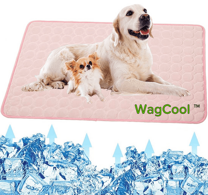 Chien détendu sur un tapis rafraîchissant, profitant de la fraîcheur. Accessoire confort pour l'été.
