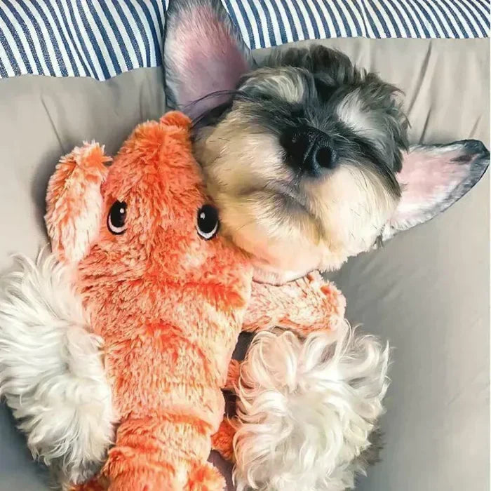 Jouet PlayPal robuste pour chien, doté d'un capteur de mouvement. Idéal pour la stimulation et le jeu interactif durable.