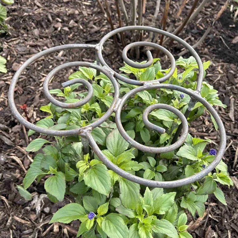 Support discret pour fleurs de jardin, assure croissance droite et robuste de vos plantes.