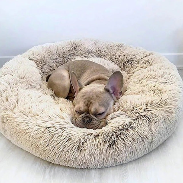 Lit orthopédique chien gris, confort ultime, soutien articulaire, housse amovible lavable.