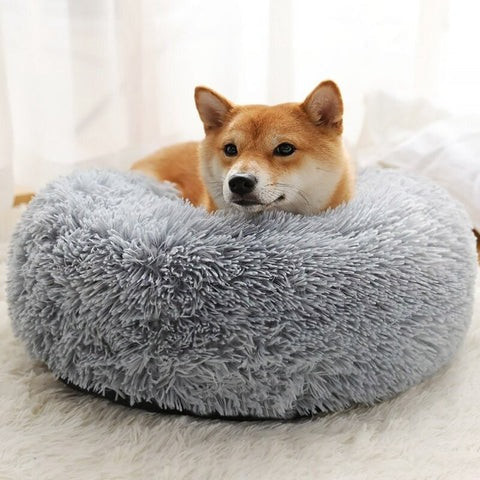 Lit chien ergonomique avec mousse mémoire, soutien articulaire optimal, housse lavable facile.