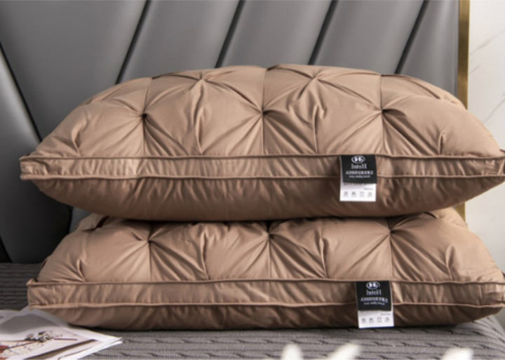 Coussin hypoallergénique en duvet d'oie, parfait pour une literie saine et un confort moelleux dans votre maison.