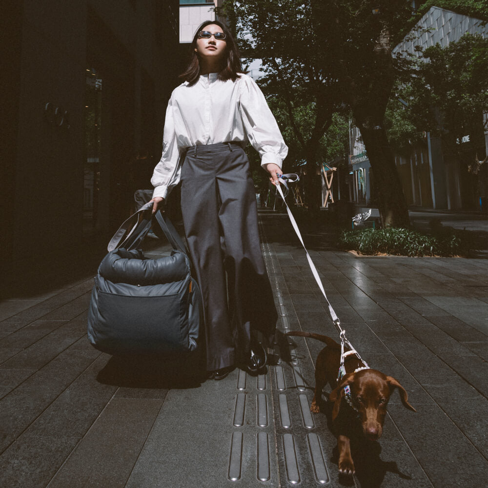 Voyager avec son chien : siège auto premium pour tranquillité d'esprit.
