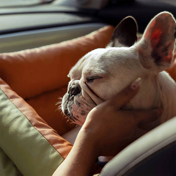Un siège auto de luxe pour chien, rend chaque voyage agréable et sûr.