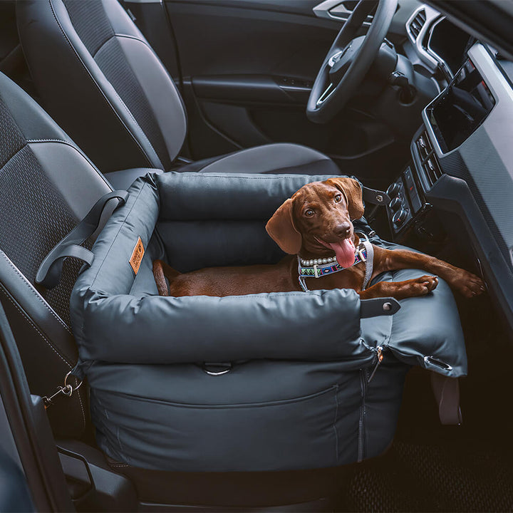 Siège auto pour chien : voyagez en toute sécurité et grand confort.