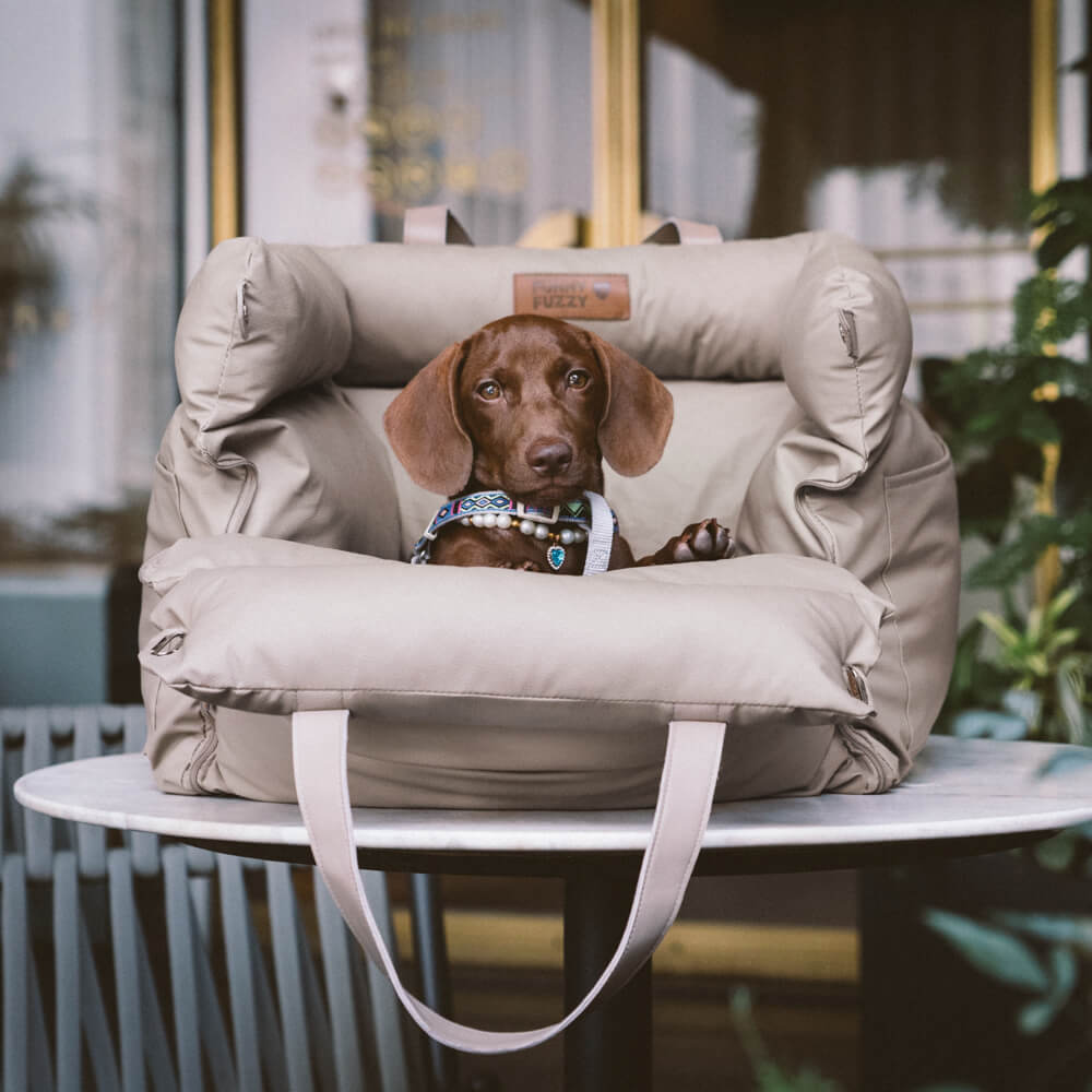 Siège auto luxe pour chien, garantit sécurité et bien-être en voyage.