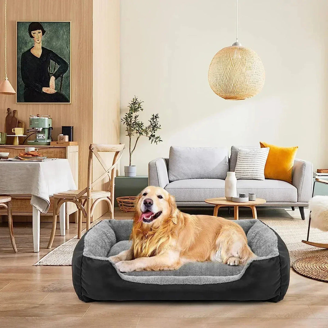 Couchage orthopédique pour grand chien ou chien âgé. Soulage les articulations, assure un repos confortable et apaisant.