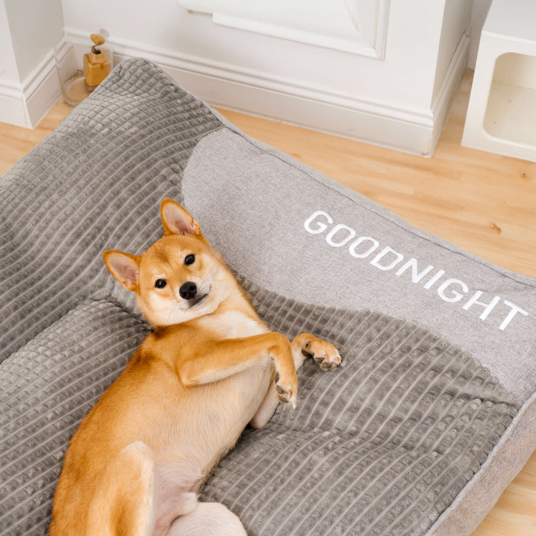 Lit pour animaux de compagnie en velours doux. Coussin lavable en machine, confort luxe et sommeil profond.