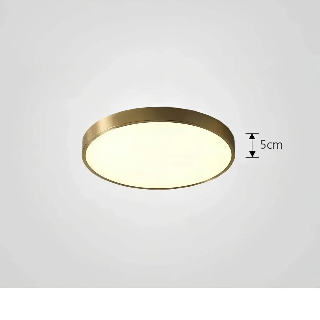 Lampe de salon LED moderne, plafonnier design contemporain pour un intérieur stylé et lumineux.