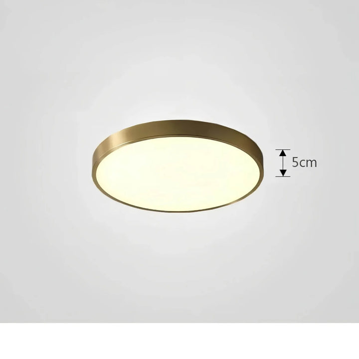 Lampe de salon LED moderne, plafonnier design contemporain pour un intérieur stylé et lumineux.