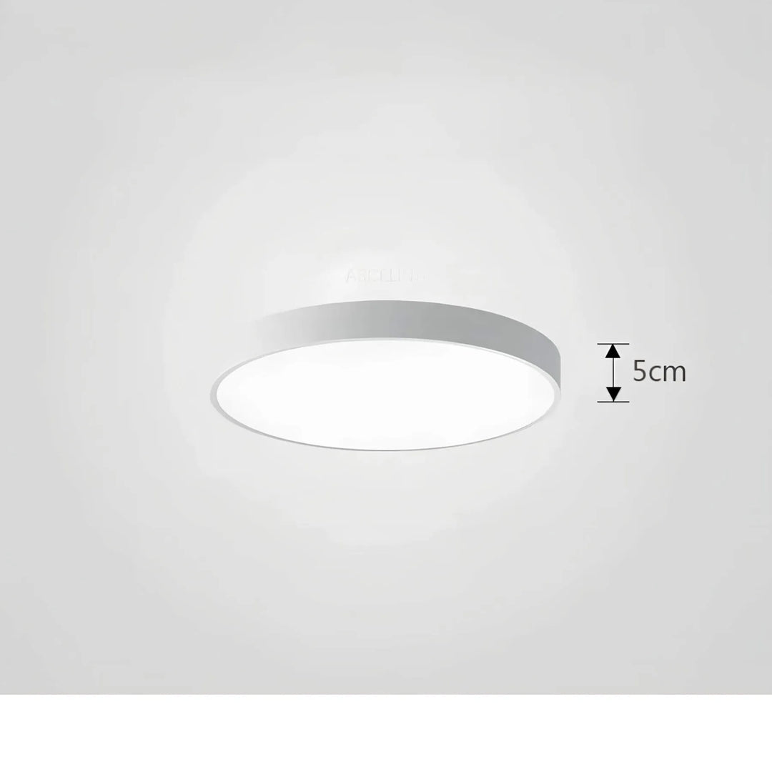 Plafonnier LED efficace énergétiquement, design moderne et contemporain pour un éclairage stylé.