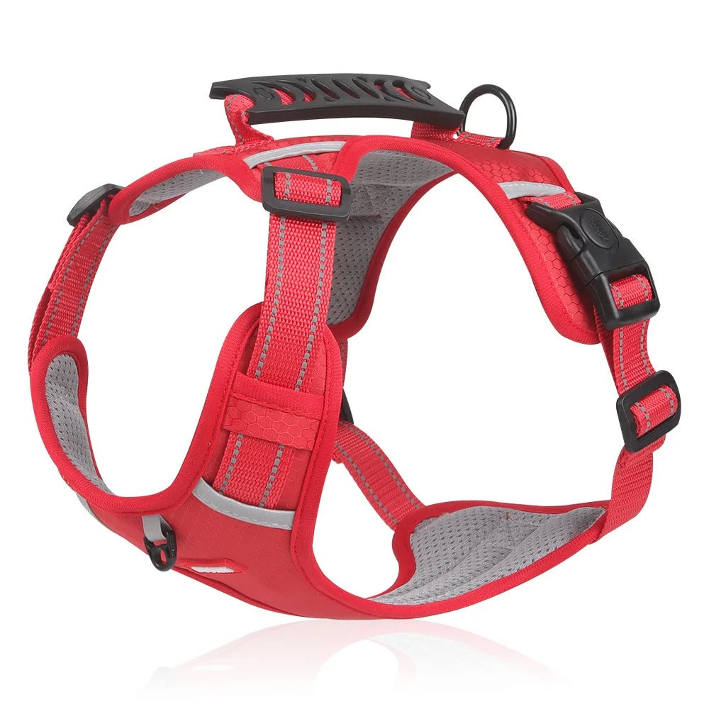 Accessoire chien: Harnais respirant et anti-tirage pour un meilleur contrôle et des promenades plus agréables en toute sécurité.