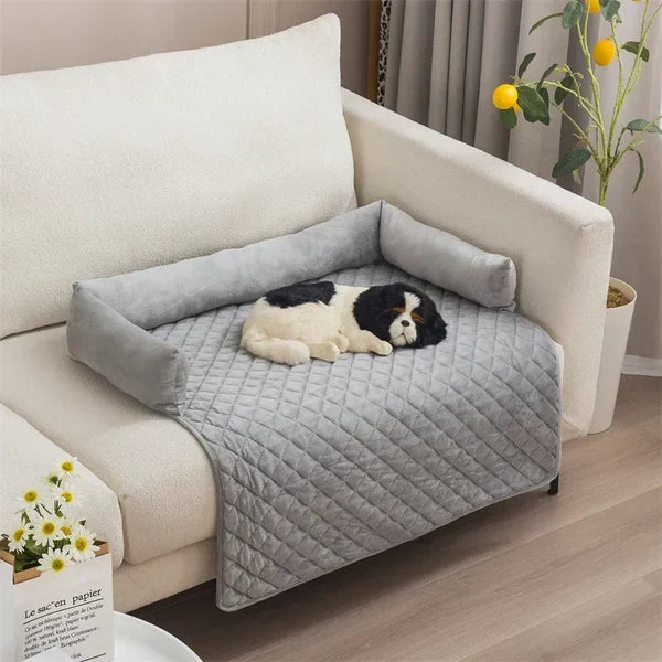 Coussin chien lavable et douillet, offre un repos parfait à votre animal de compagnie.