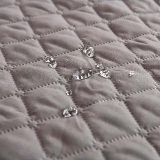 Tapis chien imperméable, idéal pour la protection des canapés et sièges auto.