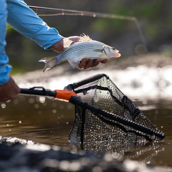 Nasse de pêche flottante et anti-accrochage, parfaite pour la capture et relâche du poisson.