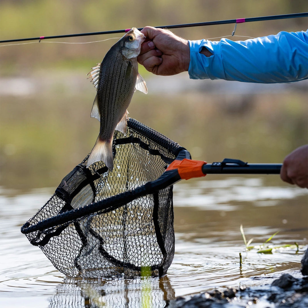 Équipement de pêche: nasse portable, durable et rétractable, idéale pour la pêche sportive.