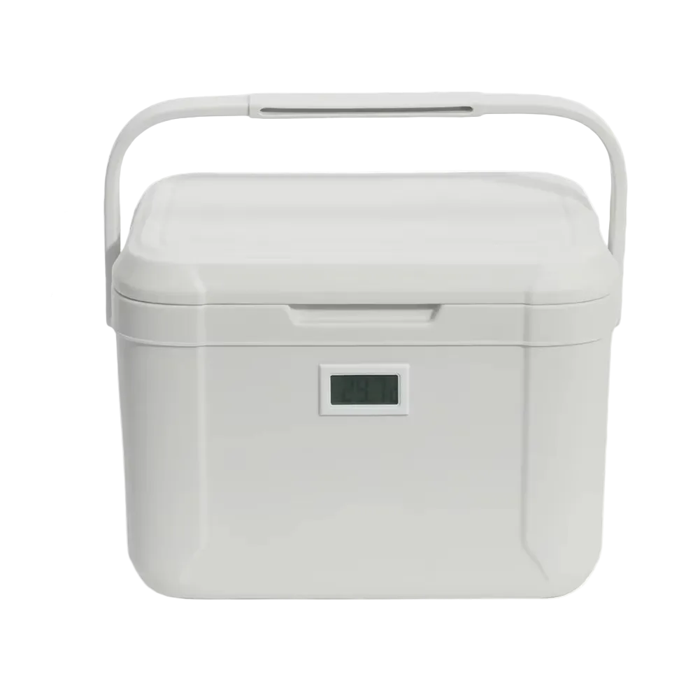 Petite glacière 5L pour camping, pique-nique et extérieur. Idéale pour garder vos boissons et aliments froids.