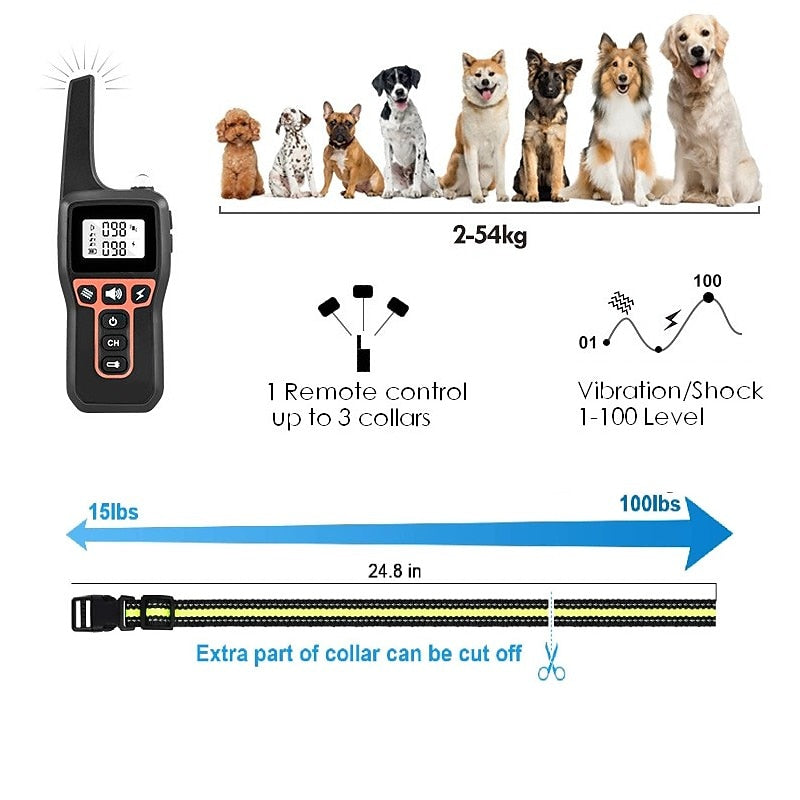 Appareil de dressage pour chien à distance: collier étanche, rechargeable, pour un entraînement serein.