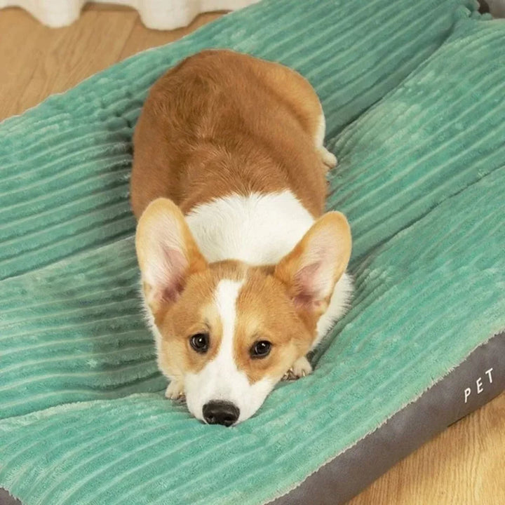 Coussin chaud pour chien, procurant un confort optimal et un soutien orthopédique pour toutes races de chiens.