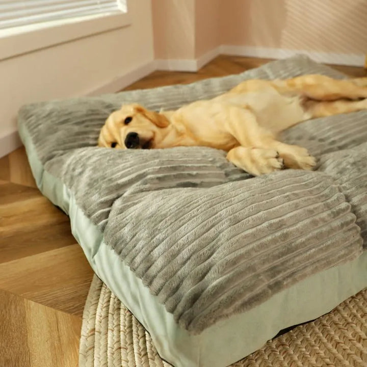 Coussin chien orthopédique premium, soulageant les douleurs articulaires et favorisant le bien-être de votre animal.