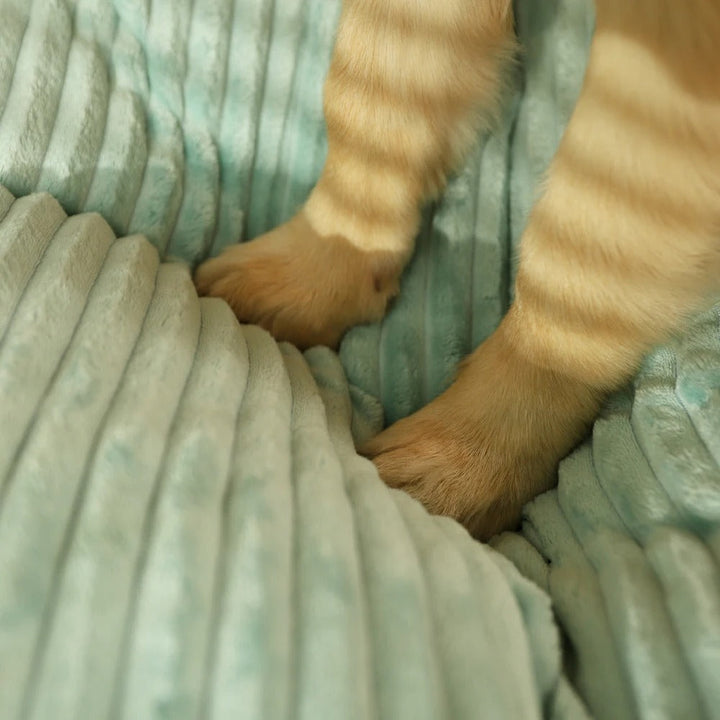 Chien dormant paisiblement sur un coussin orthopédique chaud, lit confortable pour un repos réparateur.