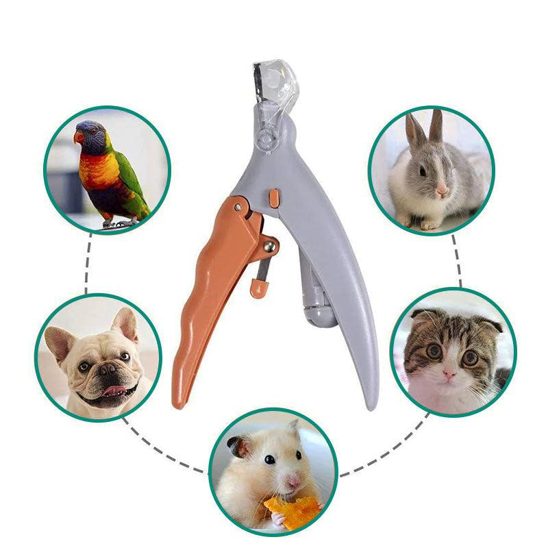 Coupe-ongles professionnel Paw Guard Pro pour chiens, garantissant le bien-être animal et des pattes saines.