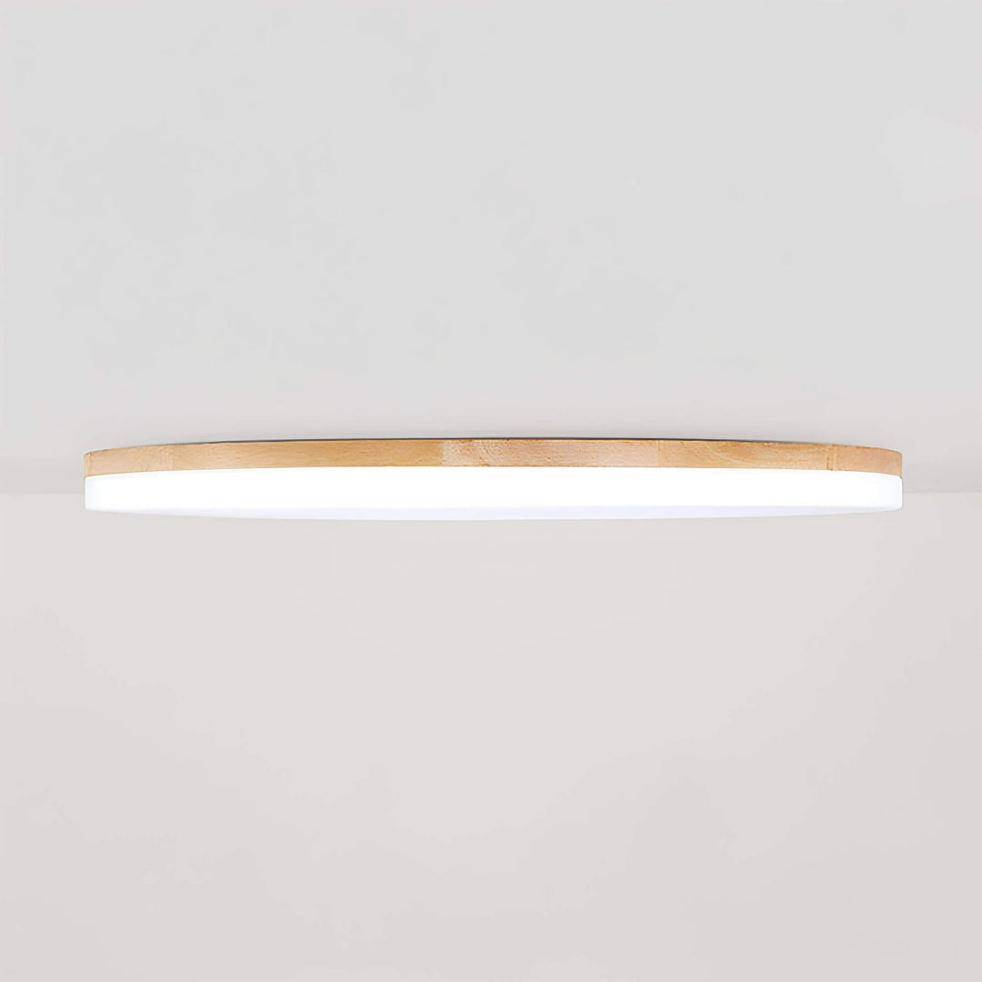 Lampe de plafond LED moderne et élégante pour salon ou chambre, offrant un éclairage économe en énergie.