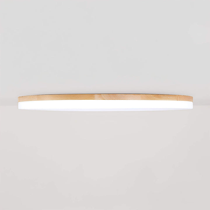 Lampe de plafond LED moderne et élégante pour salon ou chambre, offrant un éclairage économe en énergie.