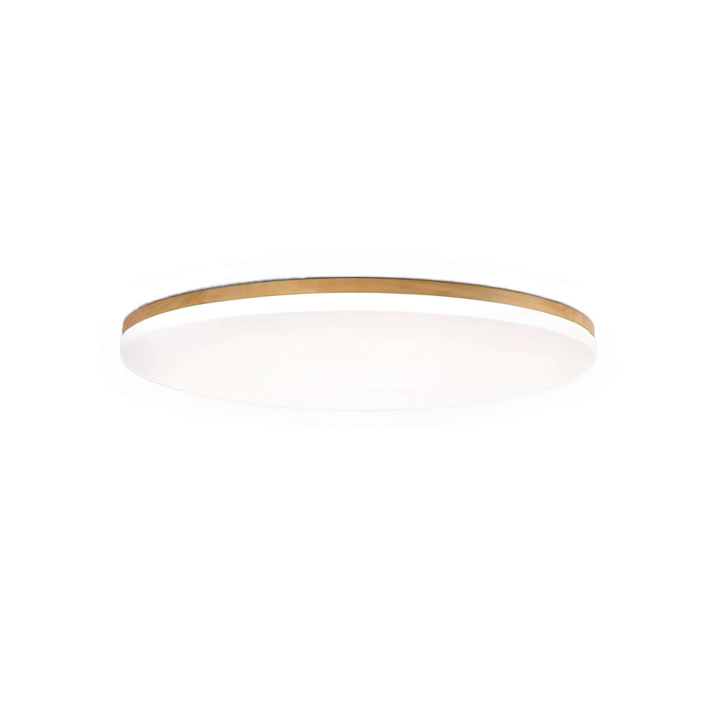 Luminaire de plafond LED dimmable à 3 couleurs, idéal pour créer une ambiance chaleureuse dans le bureau ou le couloir.