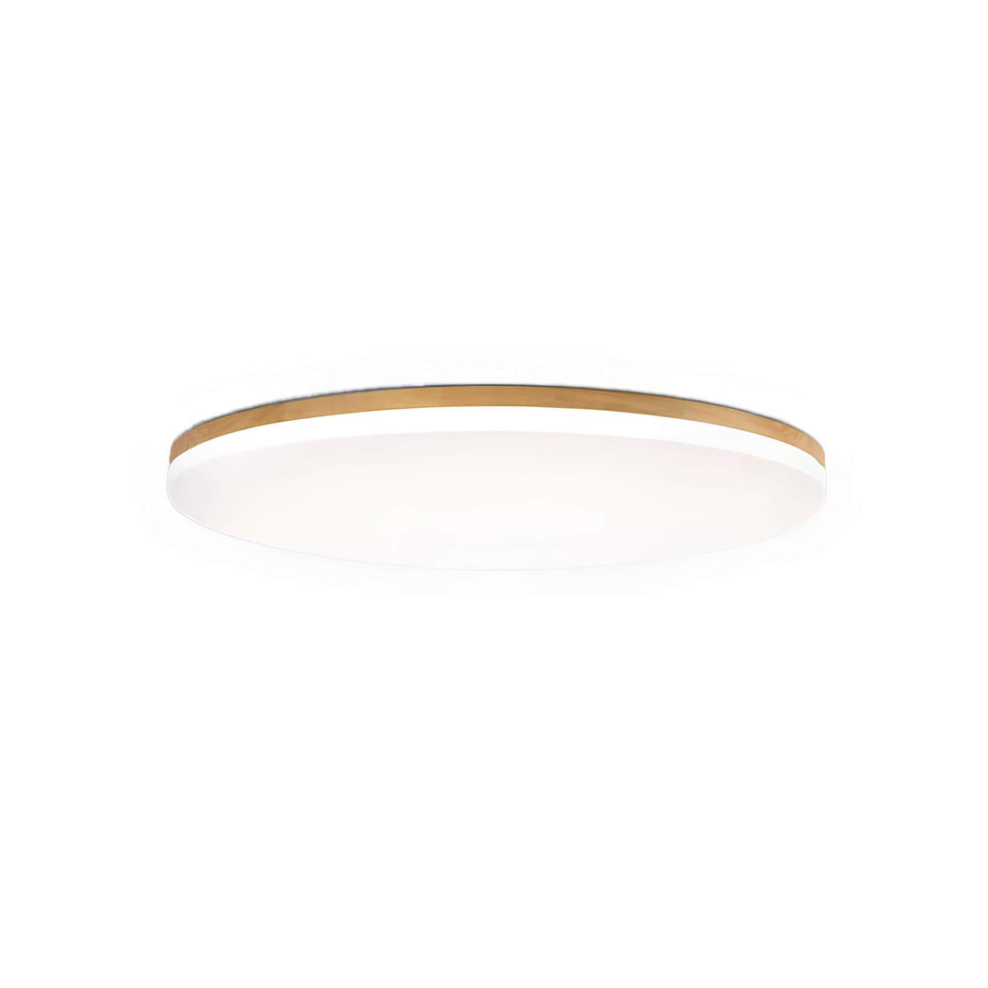 Luminaire de plafond LED dimmable à 3 couleurs, idéal pour créer une ambiance chaleureuse dans le bureau ou le couloir.