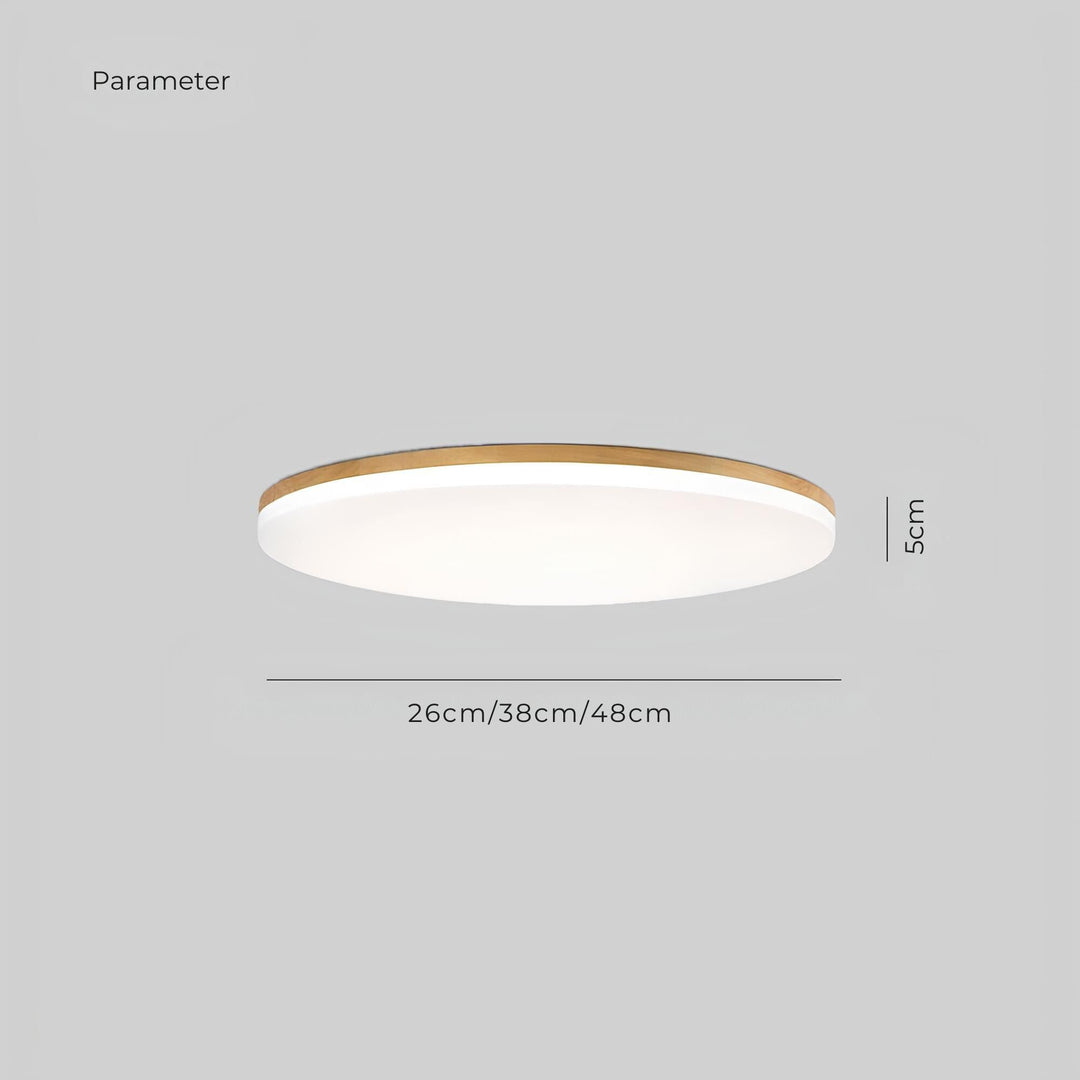 Lampe de plafond LED minimaliste pour chambre à coucher, offrant un éclairage efficace et un design moderne.