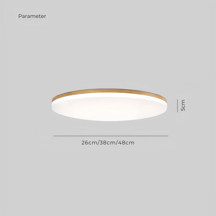 Lampe de plafond LED minimaliste pour chambre à coucher, offrant un éclairage efficace et un design moderne.