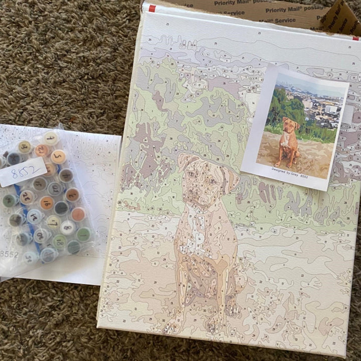 Kit de peinture par numéros personnalisé transformant votre photo en art mural unique, souvenir précieux.