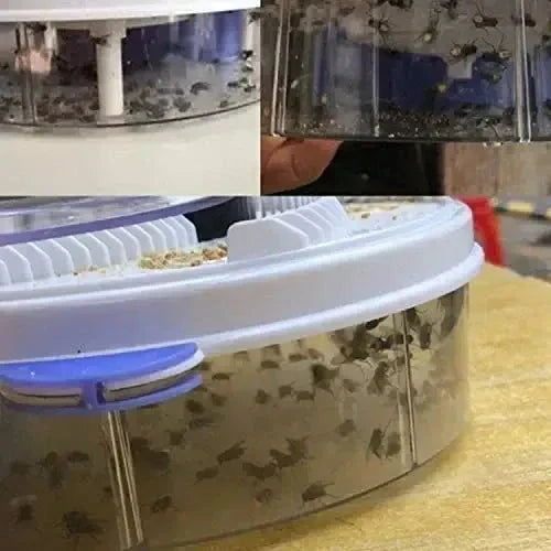 Piège automatique écologique pour se débarrasser des mouches dans votre cuisine.