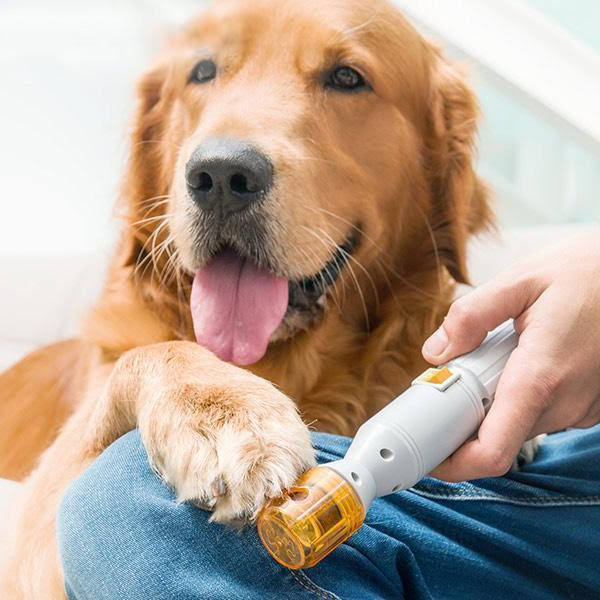Coupe-ongles indolore pour chiens et chats. Design ergonomique et sécurisé pour un toilettage des pattes confortable.