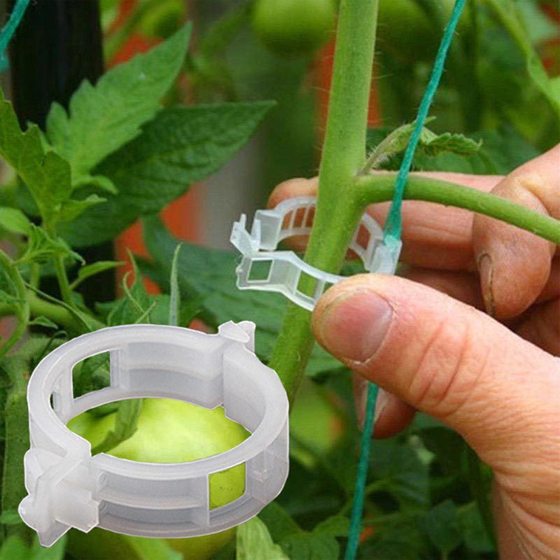 Pince de support réutilisable 2.5cm pour plantes, idéale pour tuteurage légumes et fleurs au jardin.