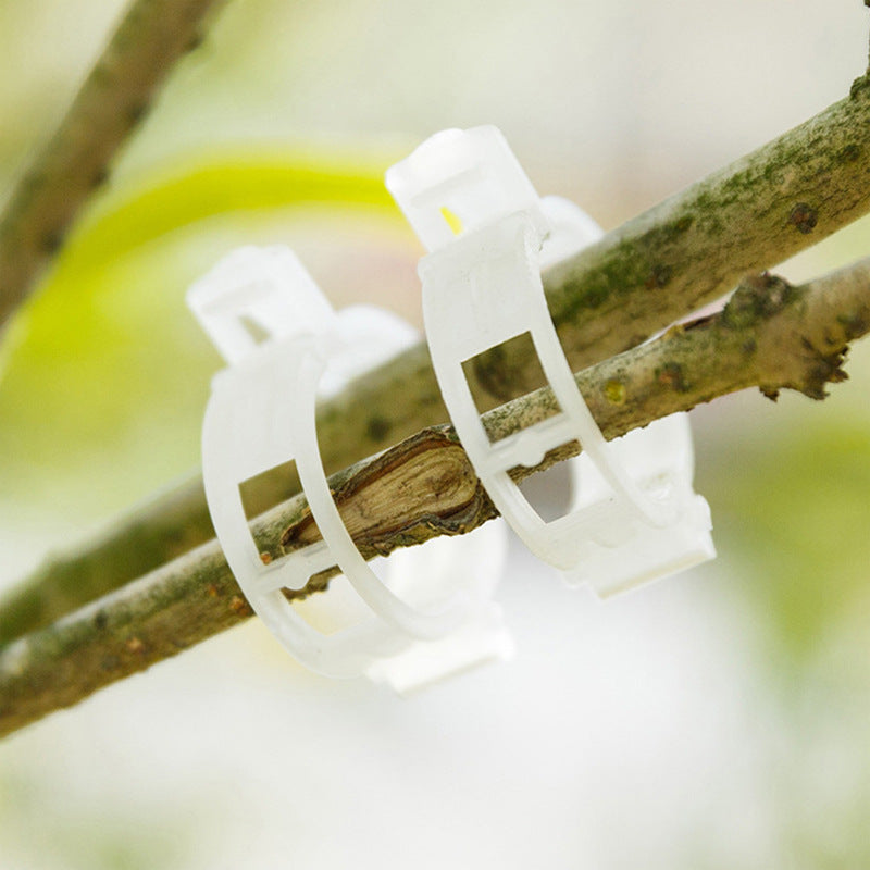 Clips de jardinage réutilisables 2.5cm pour soutenir la croissance des plantes, légumes et fleurs.
