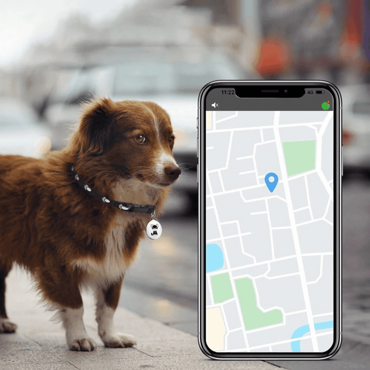 Système de sécurité GPS pour animaux domestiques. Protection anti-perte efficace pour la tranquillité d'esprit des maîtres.