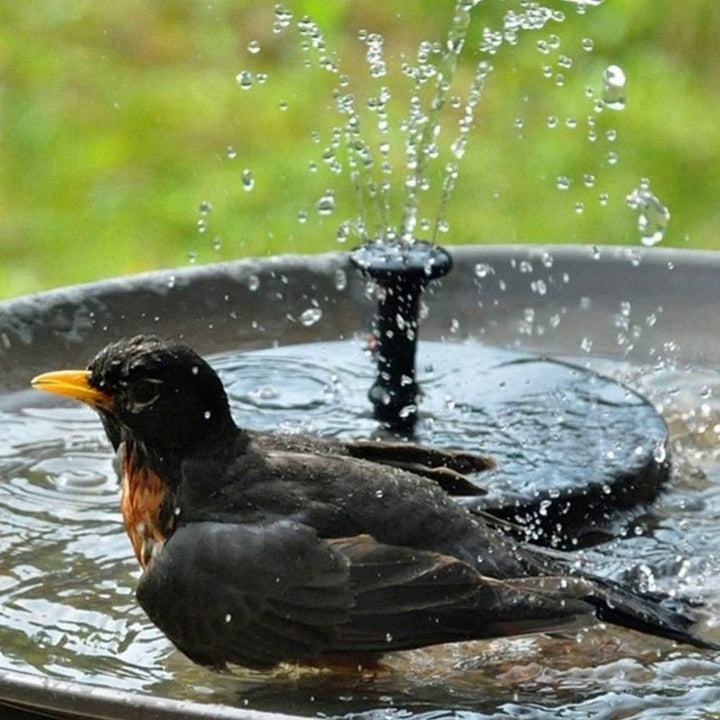 Décoration extérieure: Fontaine solaire autonome pour jardin, attire les oiseaux avec son jet d'eau.