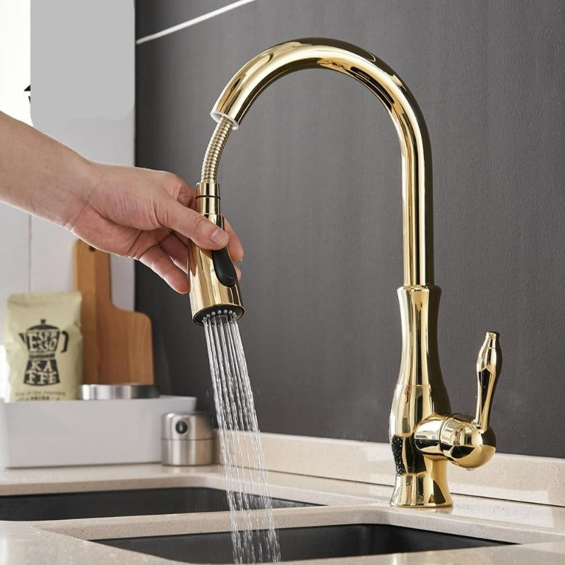 Mitigeur de cuisine extensible, robinet moderne. Contrôle précis de l'eau, design élégant et fonctionnel.