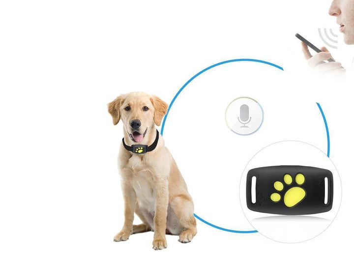 Mini traceur GPS étanche PurrLux fixé au collier, idéal pour le suivi en temps réel des chats et chiens en extérieur.