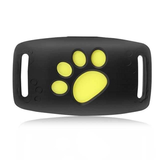 Chien portant un traceur GPS PurrLux étanche pour une localisation en temps réel et sécurité accrue en extérieur.