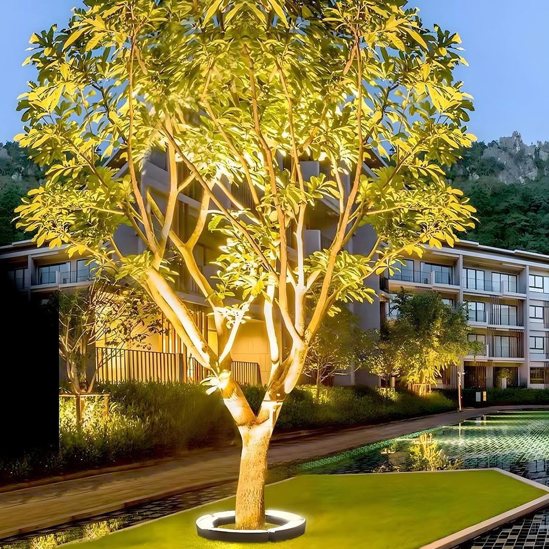 Spot LED étanche à piquer pour jardin, crée une magnifique lumière paysagère et une décoration extérieure.
