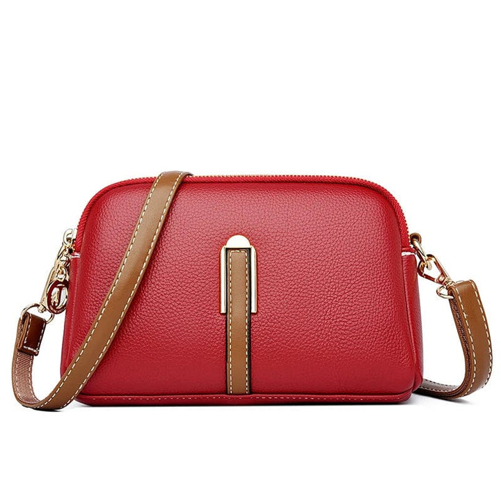 Sac organisateur multi-compartiments en cuir vegan marron, parfait pour femme active.