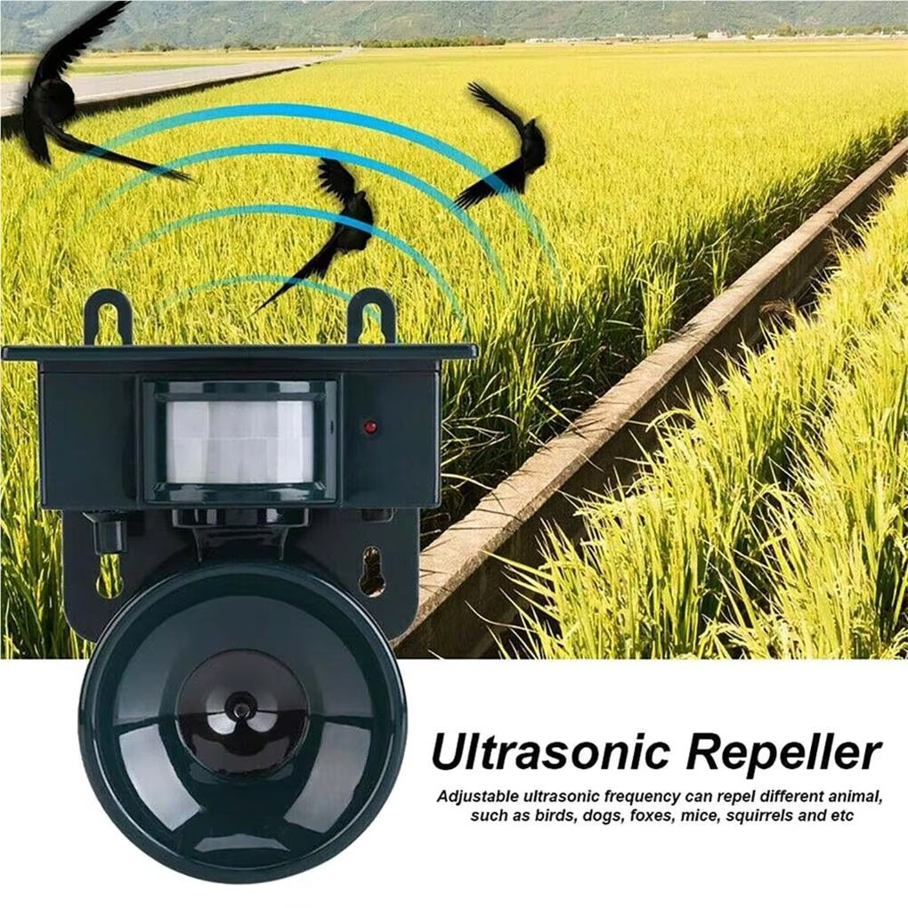 Répulseur solaire à ultrasons pour éloigner chauves-souris et animaux nuisibles du jardin, solution écologique.