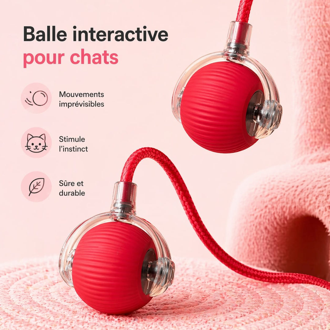 Balle intelligente interactive pour chat, stimulation et divertissement autonome pour félins actifs.