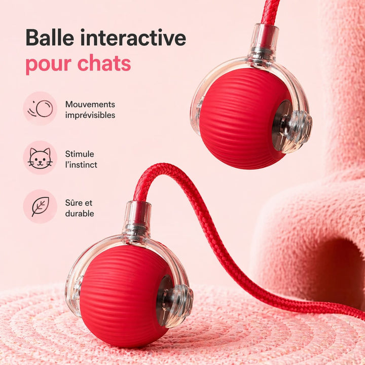 Balle intelligente interactive pour chat, stimulation et divertissement autonome pour félins actifs.